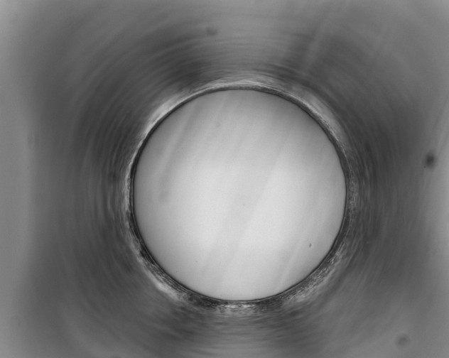 X0000100360858200806060821