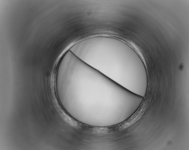 X0000100360859200806060821