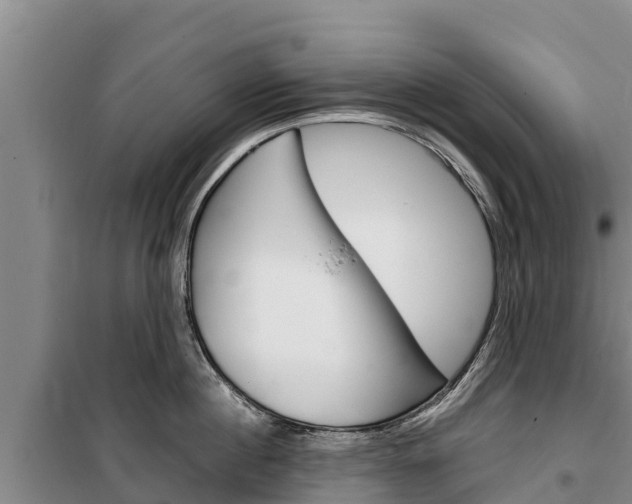 X0000100360860200806060821