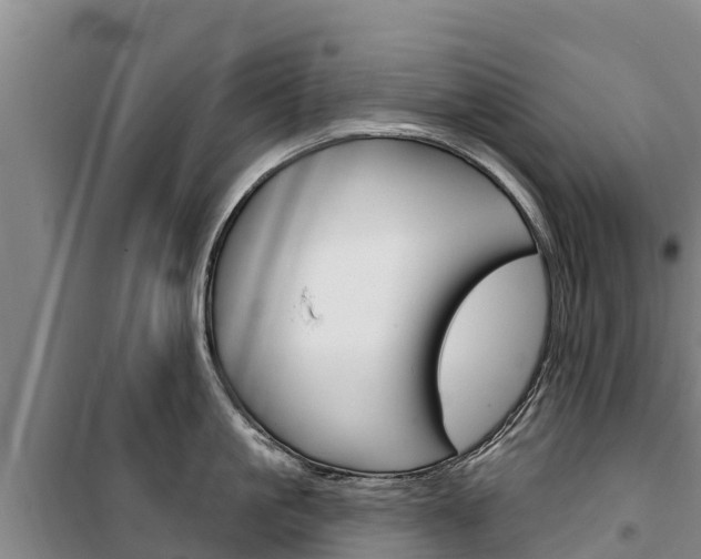 X0000100360861200806060821