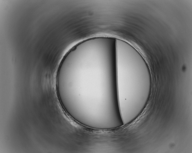 X0000100360862200806060821