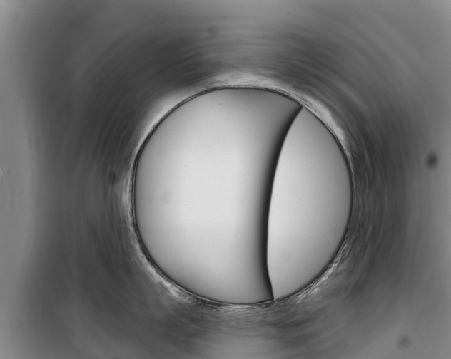 X0000100360863200806060821