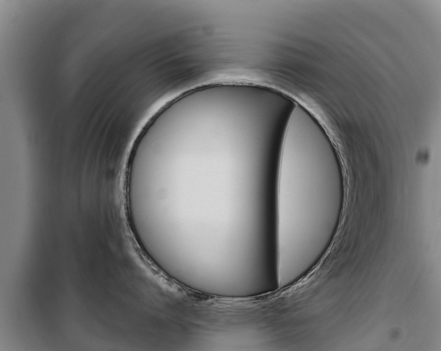 X0000100360864200806060821