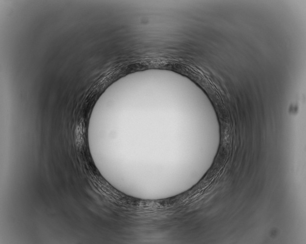 X0000100360866200806060821