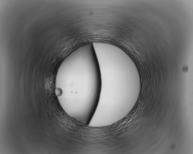 X0000100360867200806060821