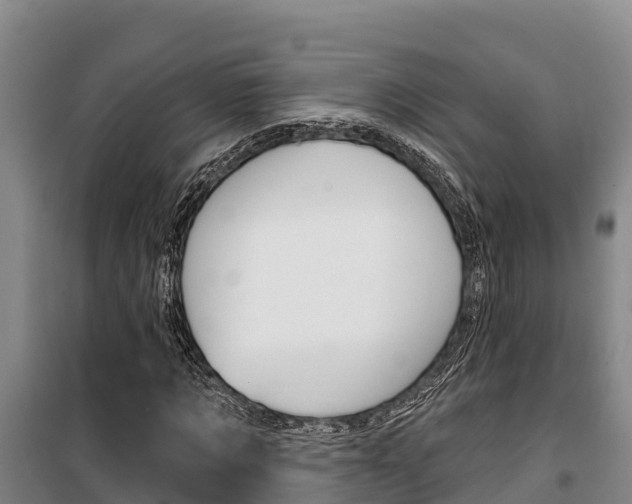 X0000100360869200806060821