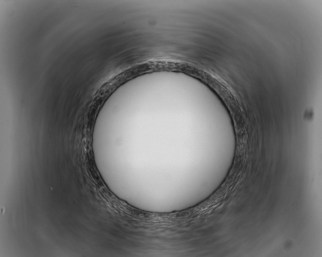 X0000100360870200806060821