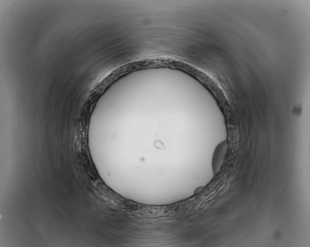 X0000100360871200806060821