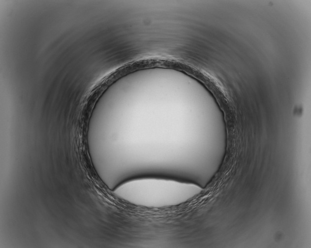 X0000100360872200806060821