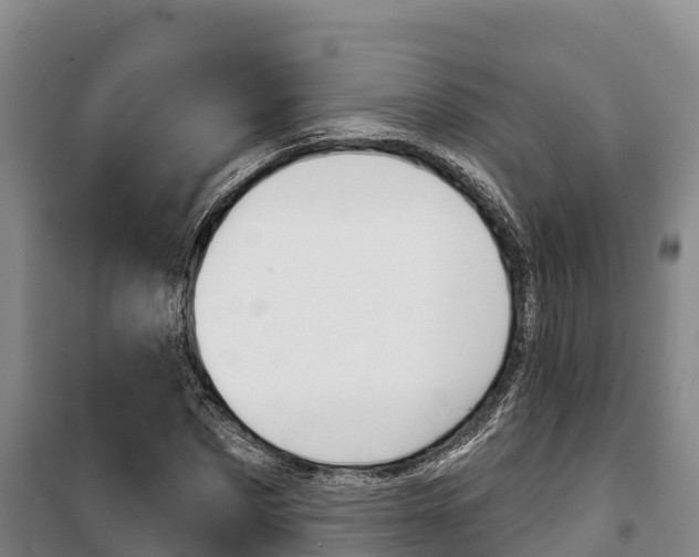 X0000100360873200806060821