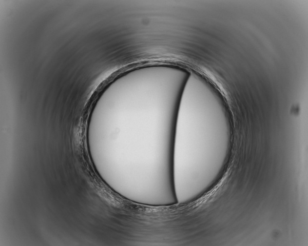 X0000100360875200806060821