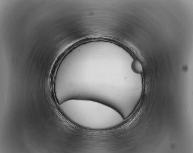 X0000100360876200806060821