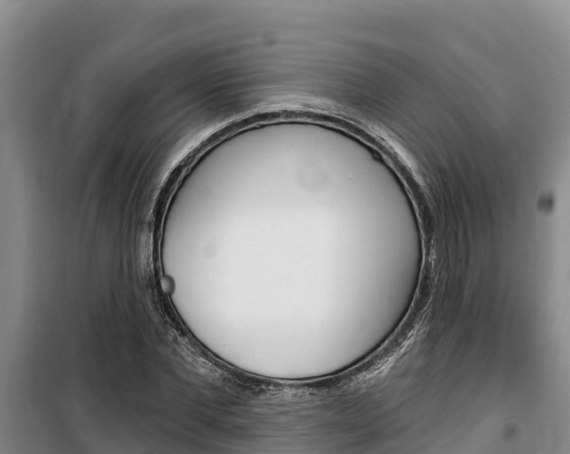 X0000100360877200806060821