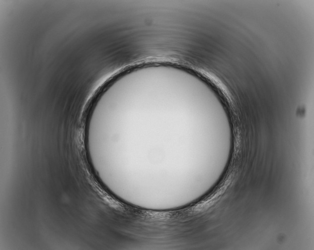 X0000100360878200806060820