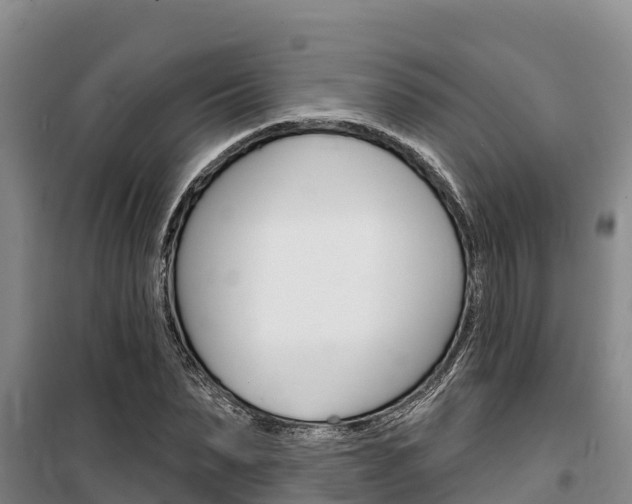 X0000100360879200806060820
