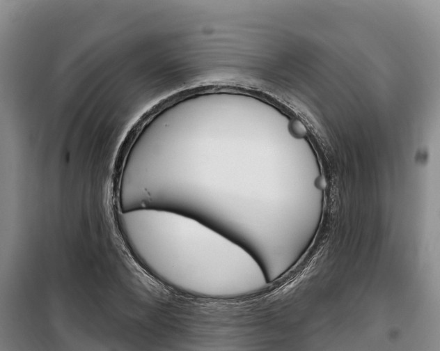 X0000100360880200806060820