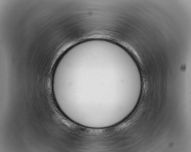 X0000100360882200806060820