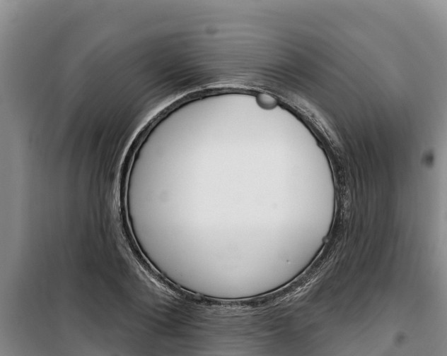 X0000100360884200806060820