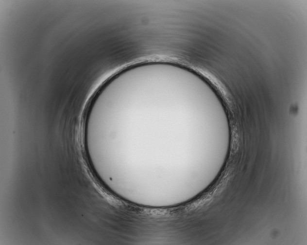 X0000100360886200806060820