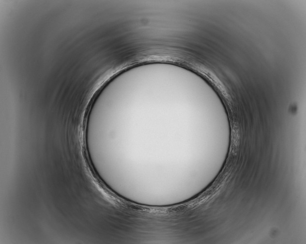 X0000100360890200806060820