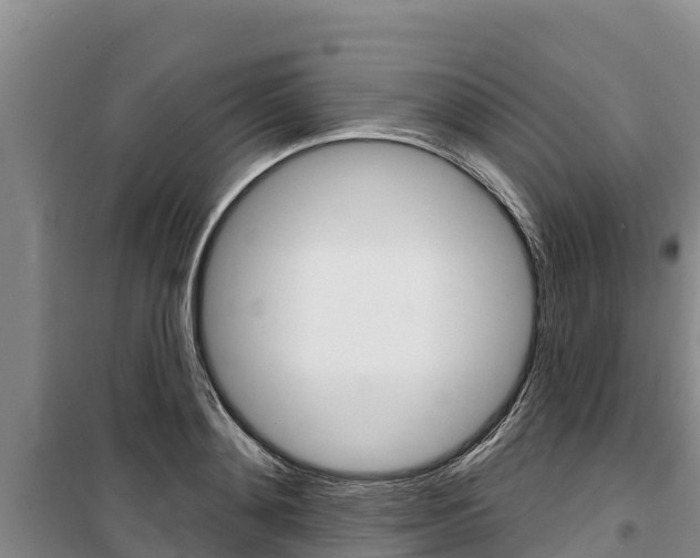 X0000100360892200806060820
