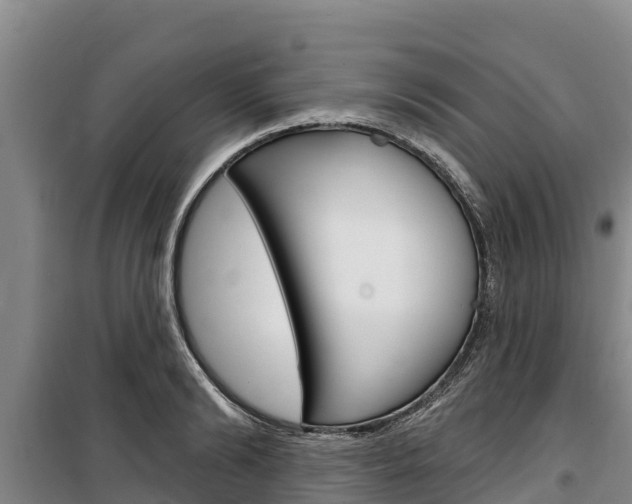 X0000100360894200806060820