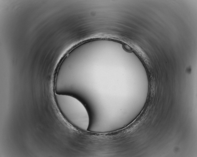 X0000100360896200806060820