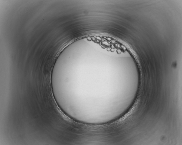 X0000100360897200806060820