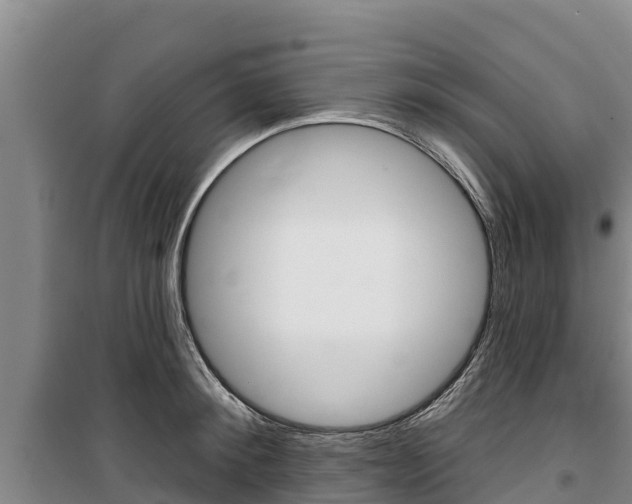 X0000100360900200806060820