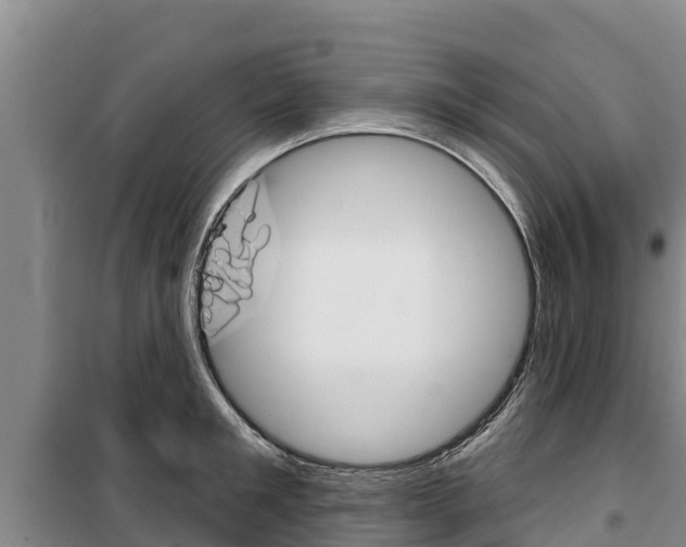 X0000100360901200806060820