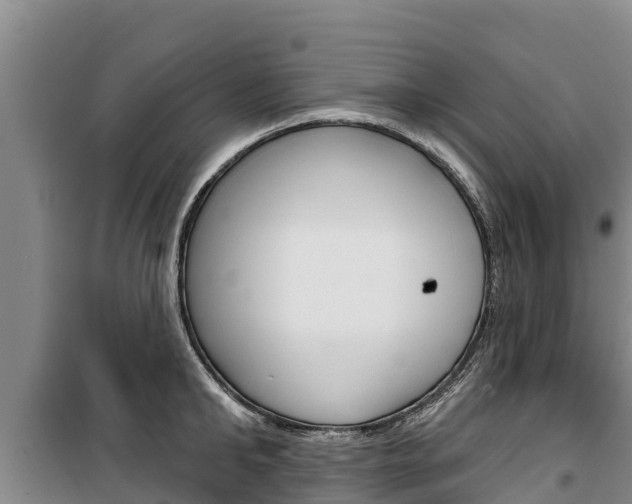 X0000100360902200806060820