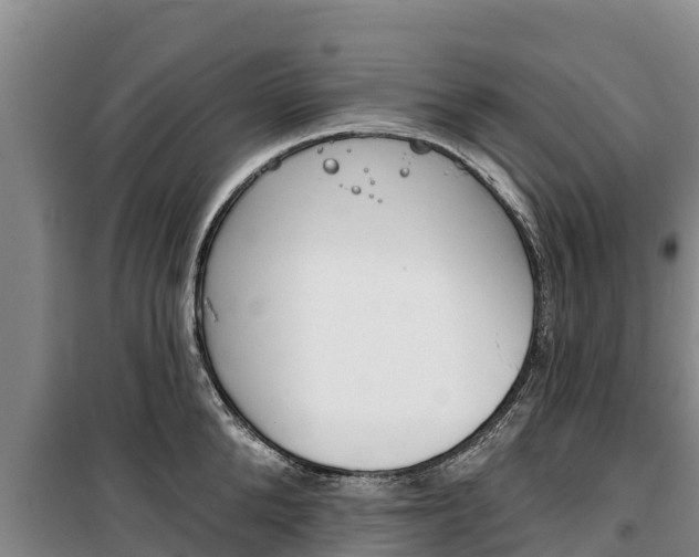 X0000100360904200806060820