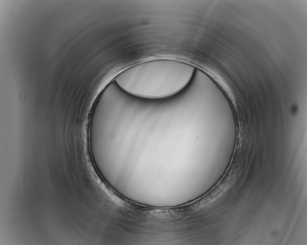 X0000100360906200806060820