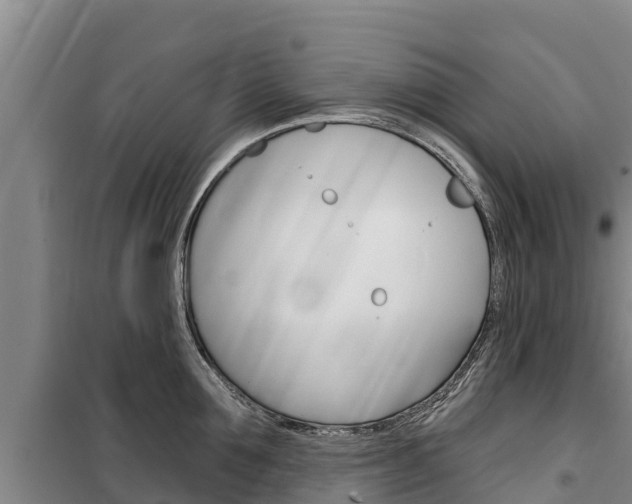 X0000100360907200806060820