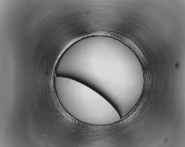 X0000100360908200806060820