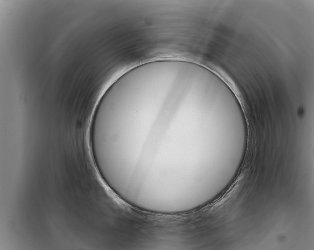 X0000100360909200806060820