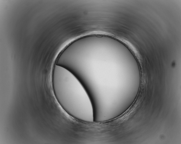 X0000100360910200806060820