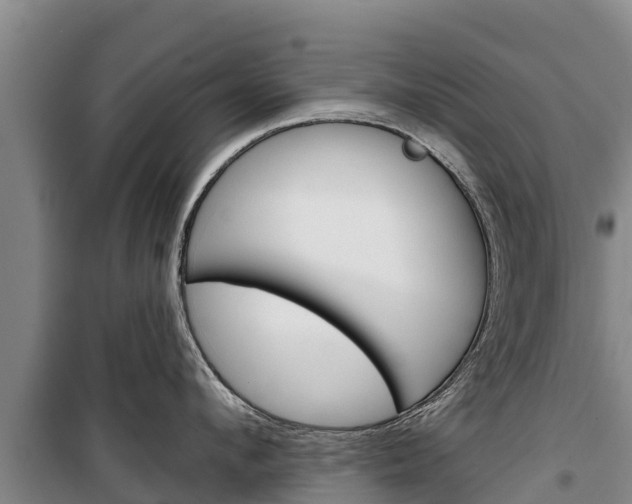 X0000100360912200806060820