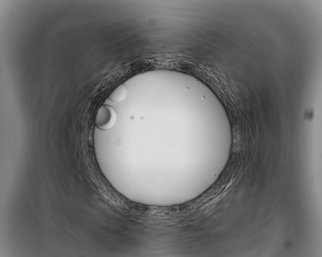 X0000100360913200806060819