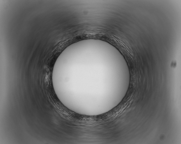 X0000100360914200806060819