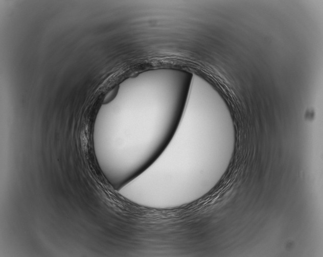 X0000100360915200806060819