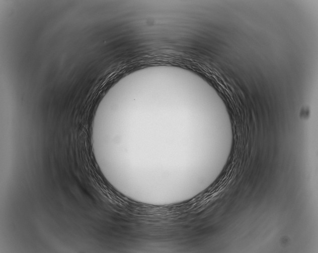 X0000100360916200806060819