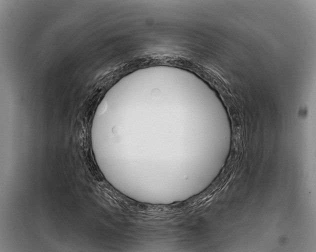 X0000100360917200806060819
