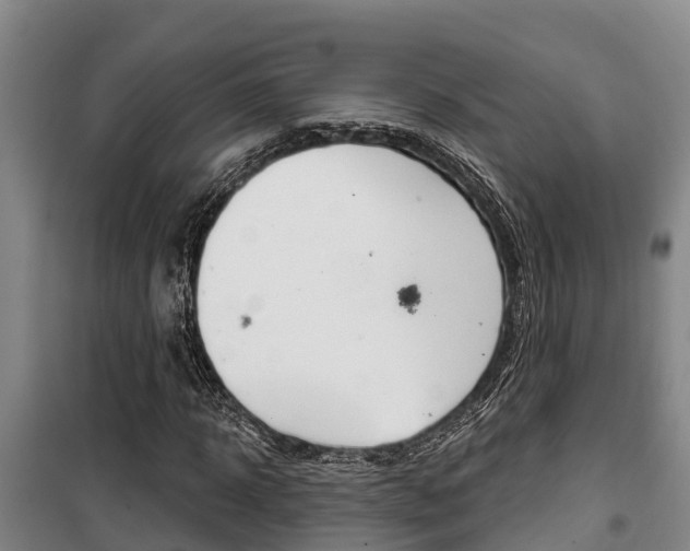 X0000100360918200806060819