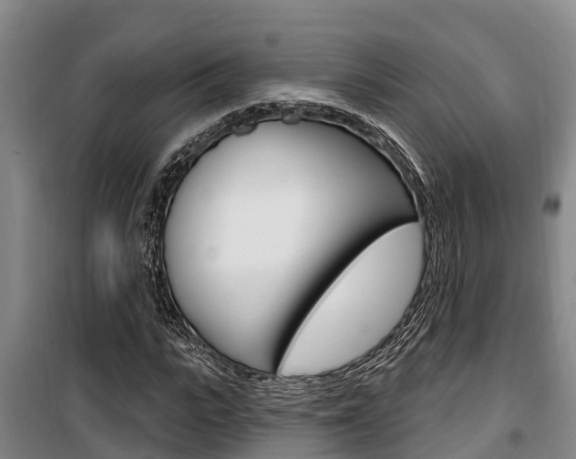 X0000100360919200806060819