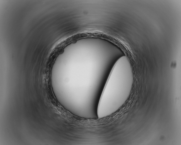 X0000100360920200806060819