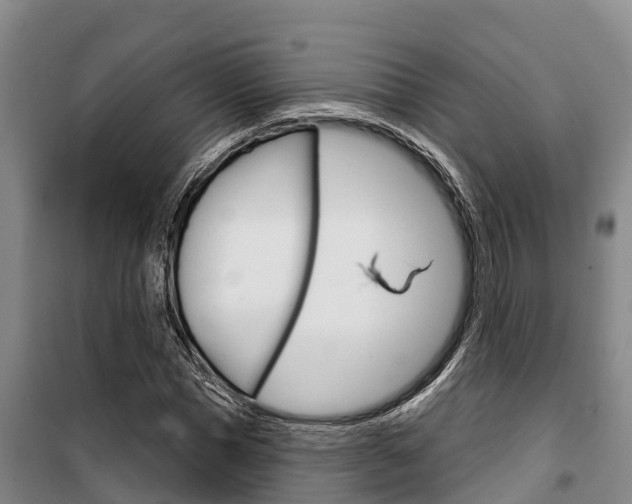 X0000100360921200806060819