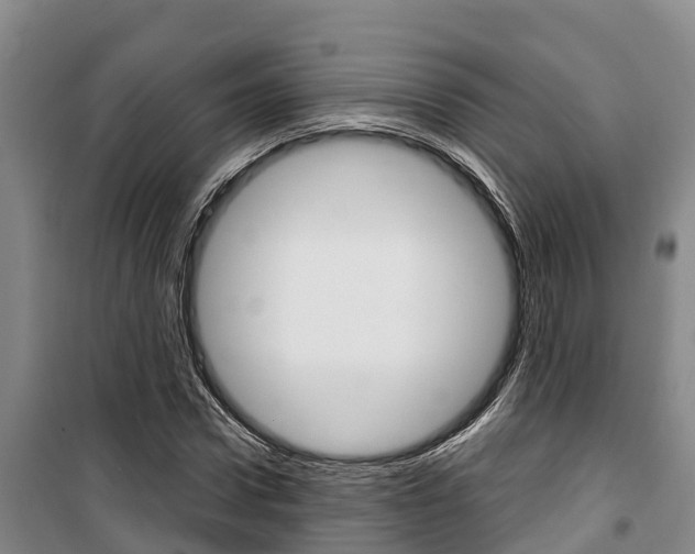 X0000100360922200806060819