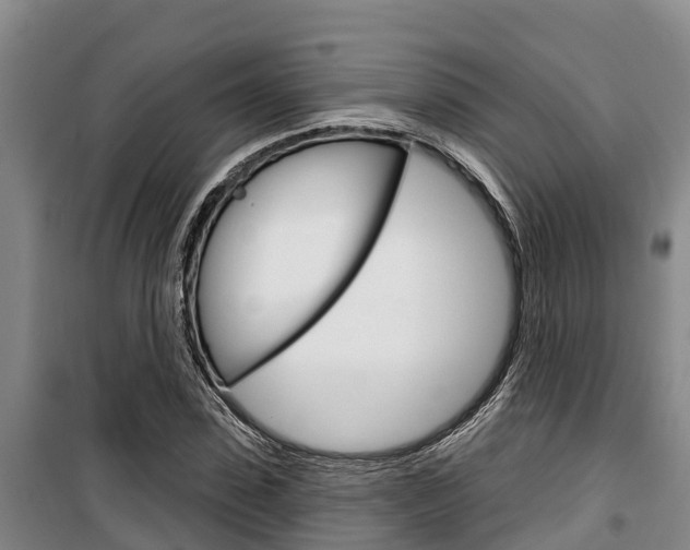 X0000100360923200806060819