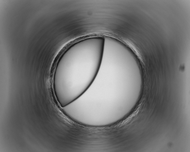 X0000100360924200806060819
